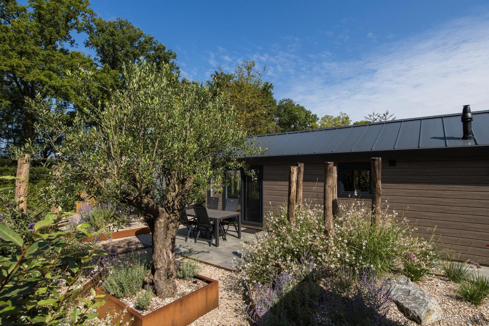 Modern Ingericht Chalet Op Groen Park Op De Veluwe Epe Exteriér fotografie