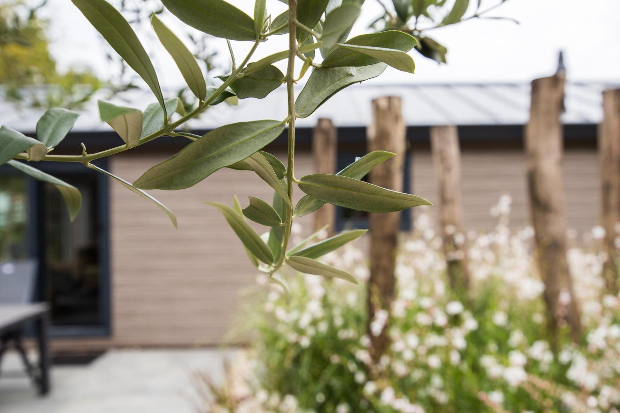 Modern Ingericht Chalet Op Groen Park Op De Veluwe Epe Exteriér fotografie