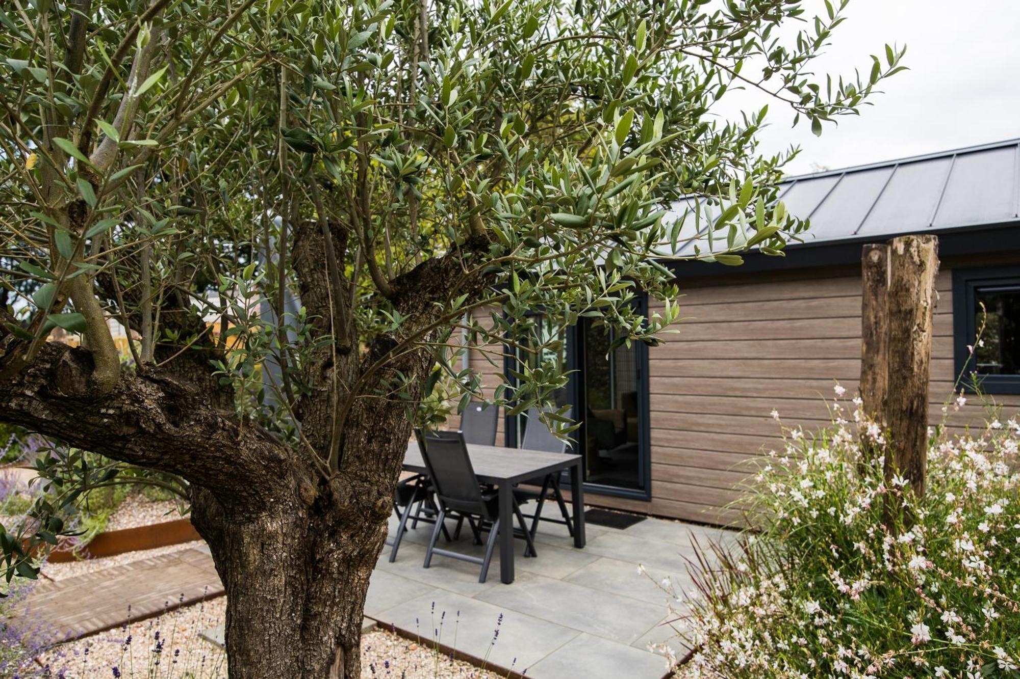 Modern Ingericht Chalet Op Groen Park Op De Veluwe Epe Exteriér fotografie