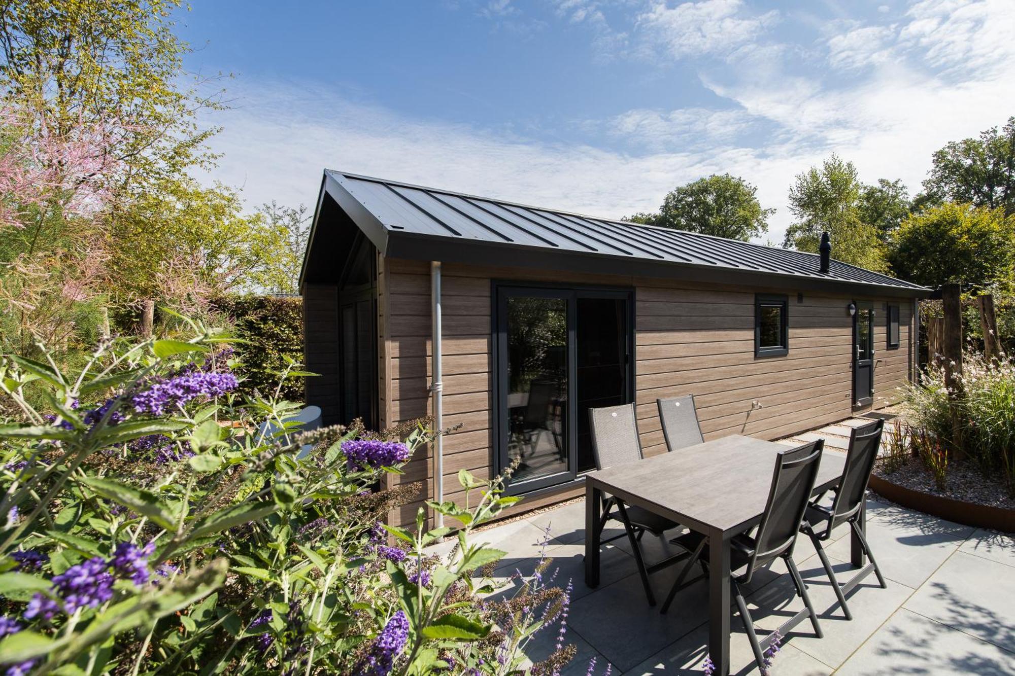 Modern Ingericht Chalet Op Groen Park Op De Veluwe Epe Exteriér fotografie