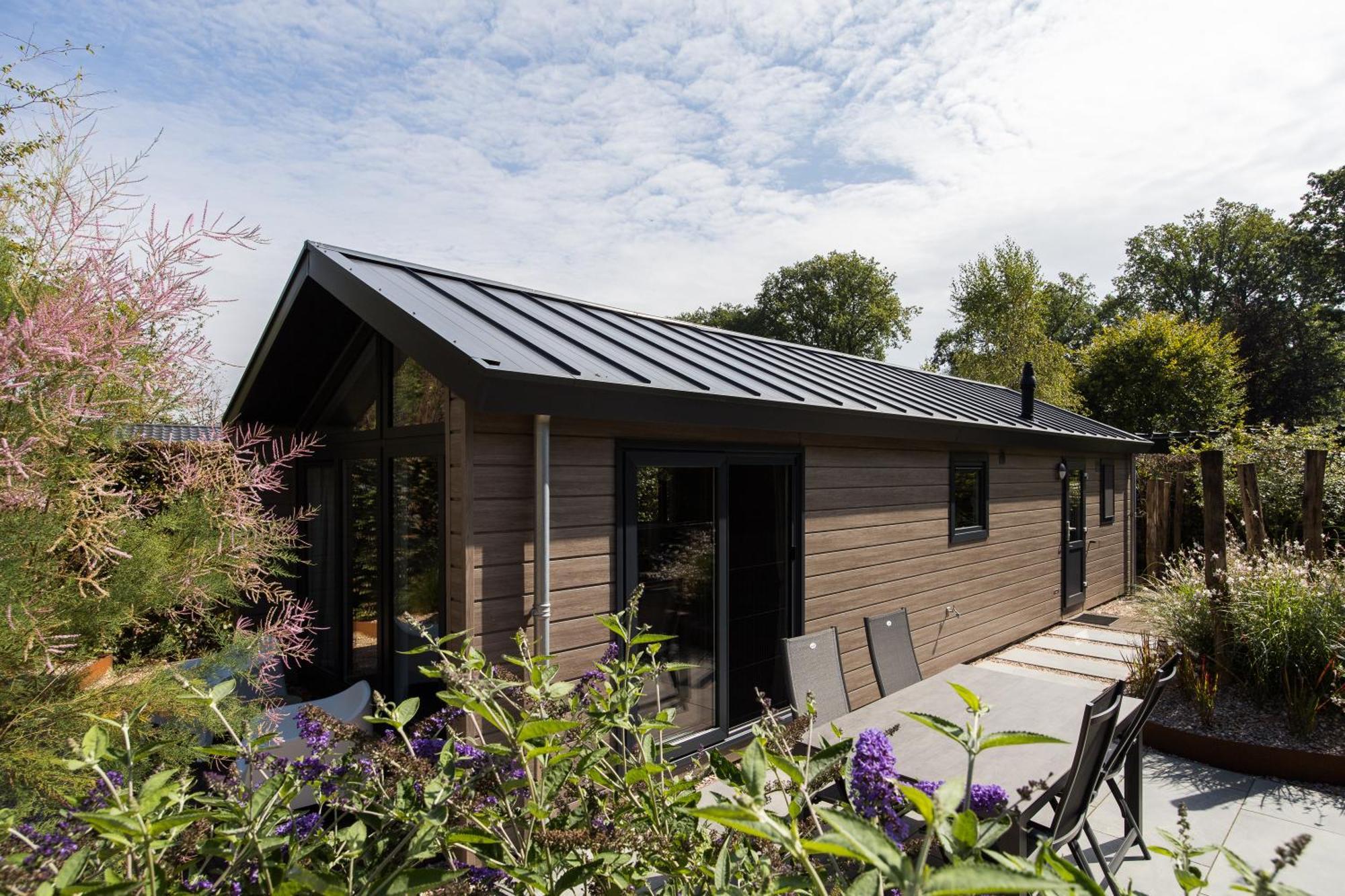 Modern Ingericht Chalet Op Groen Park Op De Veluwe Epe Exteriér fotografie